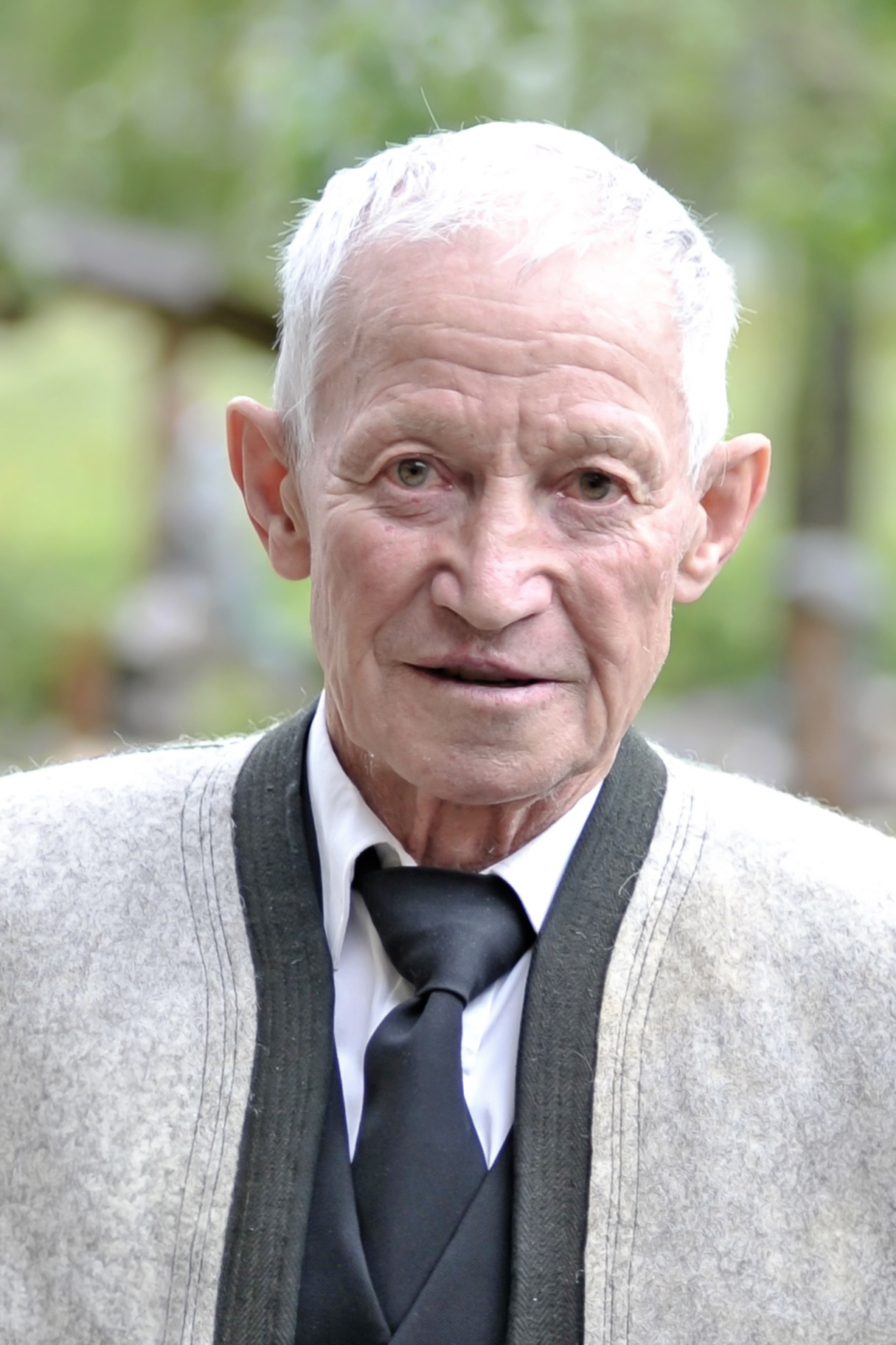 Bild von Johann Erler